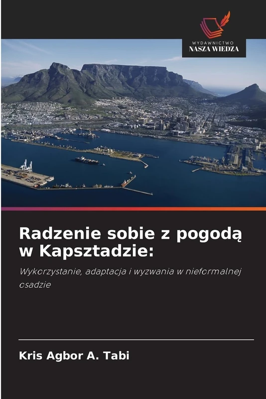Radzenie sobie z pogodą w Kapsztadzie: Wykorzystanie, adaptacja i wyzwania w nieformalnej osadzie - Image 1
