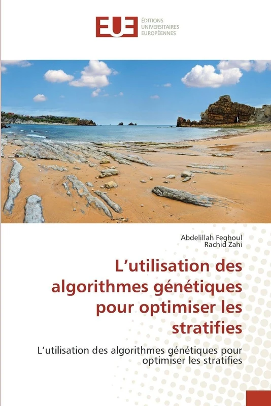 L'utilisation des algorithmes génétiques pour optimiser les stratifies - Image 1