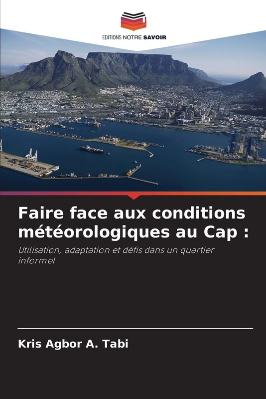 Faire face aux conditions météorologiques au Cap: Utilisation, adaptation et défis dans un quartier informel - Image 1