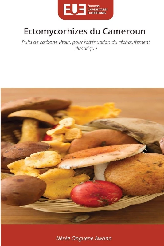 Ectomycorhizes du Cameroun: Puits de carbone vitaux pour l'atténuation du réchauffement climatique