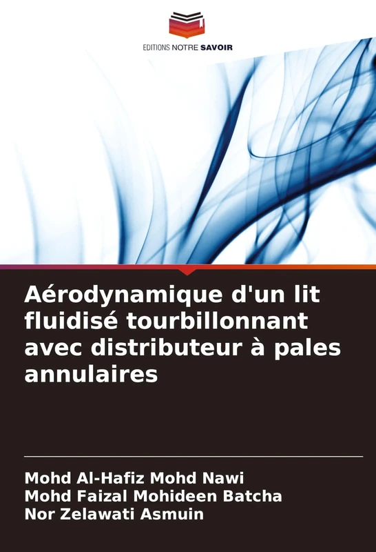 Aérodynamique d'un lit fluidisé tourbillonnant avec distributeur à pales annulaires