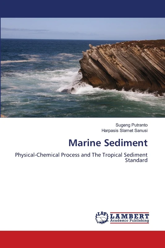 Marine Sediment: Physical-Chemical Process and The Tropical Sediment Standard