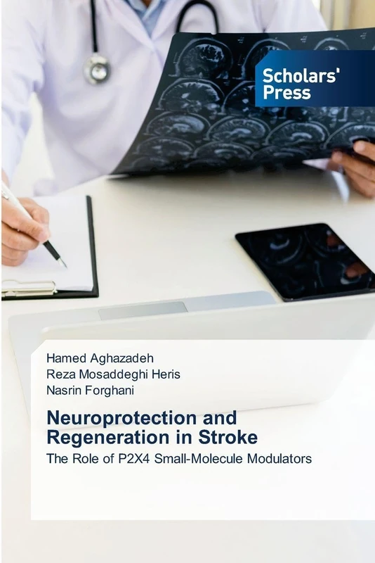 Neuroprotection and Regeneration in Stroke: The Role of P2X4 Small-Molecule Modulators