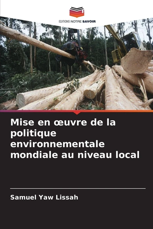 Mise en oeuvre de la politique environnementale mondiale au niveau local