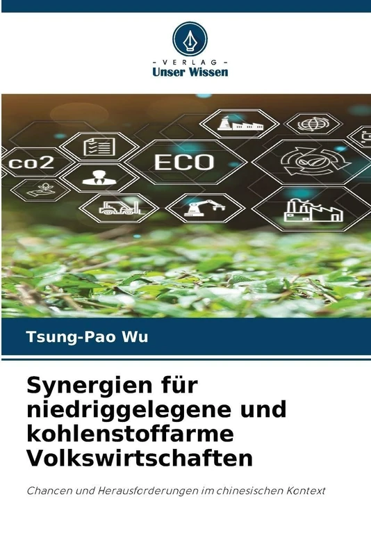 Synergien für niedriggelegene und kohlenstoffarme Volkswirtschaften: Chancen und Herausforderungen im chinesischen Kontext
