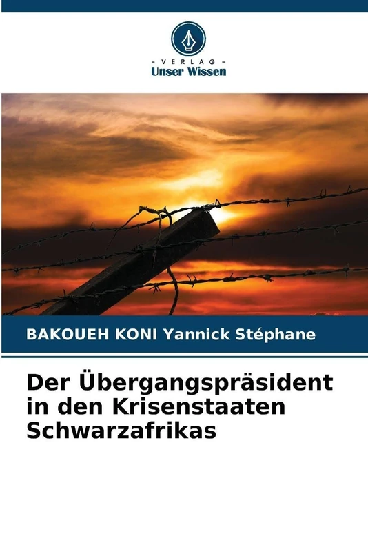 Der Übergangspräsident in den Krisenstaaten Schwarzafrikas - Image 1
