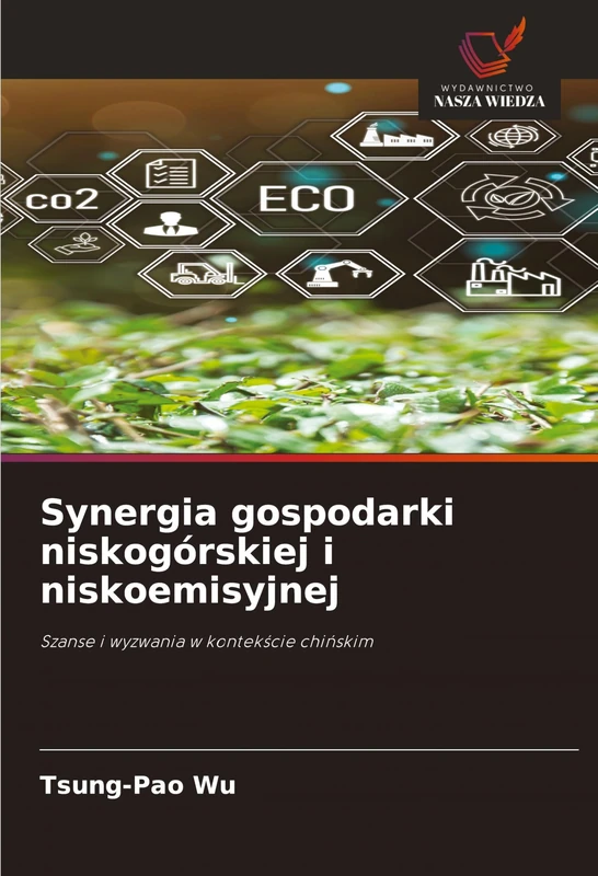 Synergia gospodarki niskogórskiej i niskoemisyjnej: Szanse i wyzwania w kontek¿cie chi¿skim - Image 1