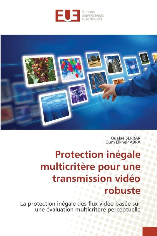 Protection inégale multicritère pour une transmission vidéo robuste: La protection inégale des flux vidéo basée sur une évaluation multicritère perceptuelle