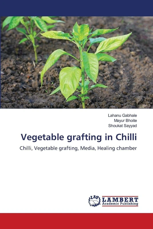Vegetable grafting in Chilli: Chilli, Vegetable grafting, Media, Healing chamber