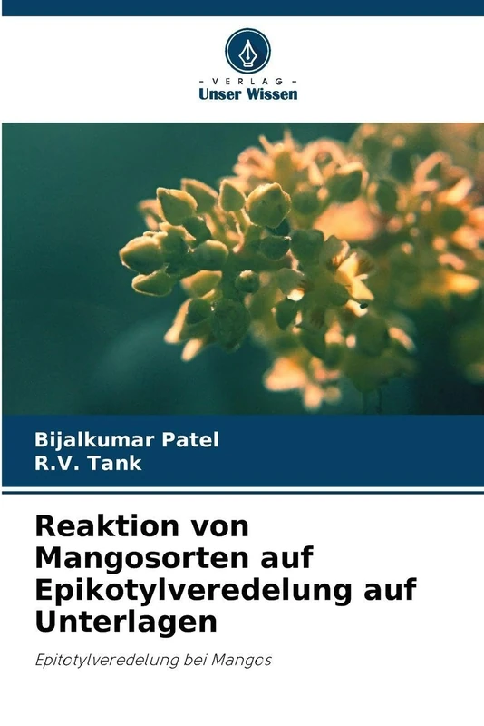 Reaktion von Mangosorten auf Epikotylveredelung auf Unterlagen: Epitotylveredelung bei Mangos