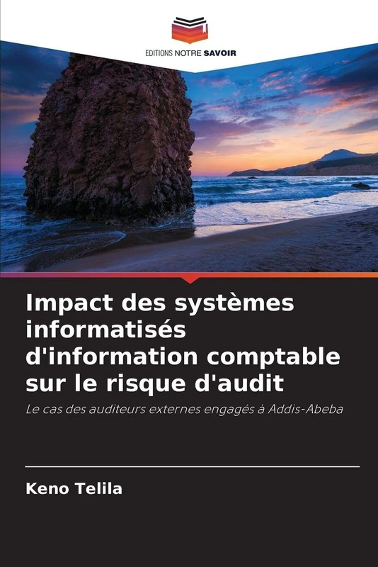 Impact des systèmes informatisés d'information comptable sur le risque d'audit: Le cas des auditeurs externes engagés à Addis-Abeba - Image 1
