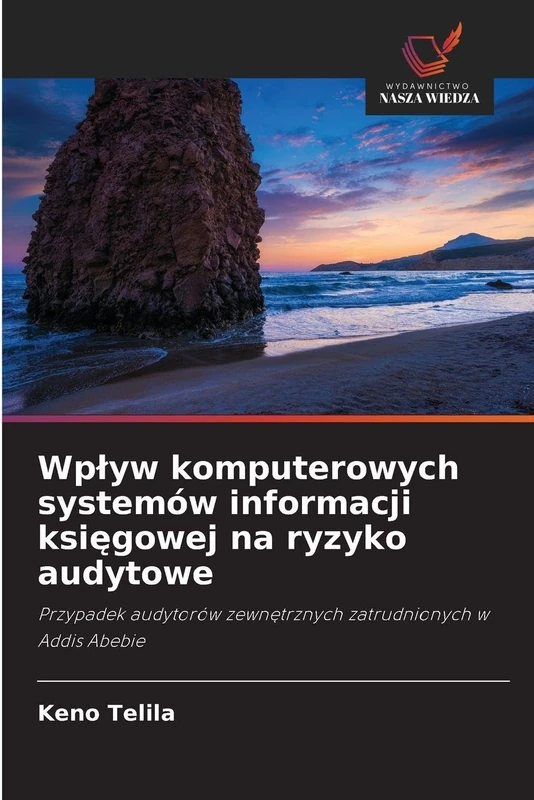 Wplyw komputerowych systemów informacji księgowej na ryzyko audytowe: Przypadek audytorów zewn¿trznych zatrudnionych w Addis Abebie