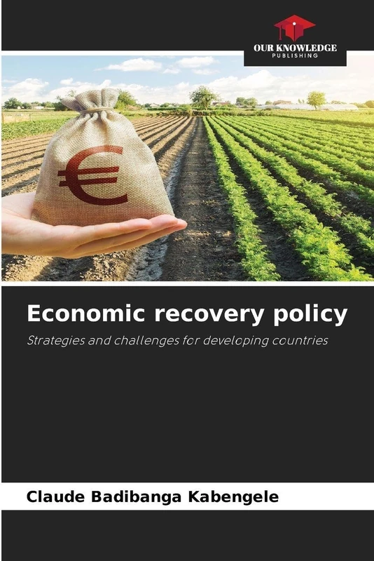 Economic recovery policy: Strategies and challenges for developing countries