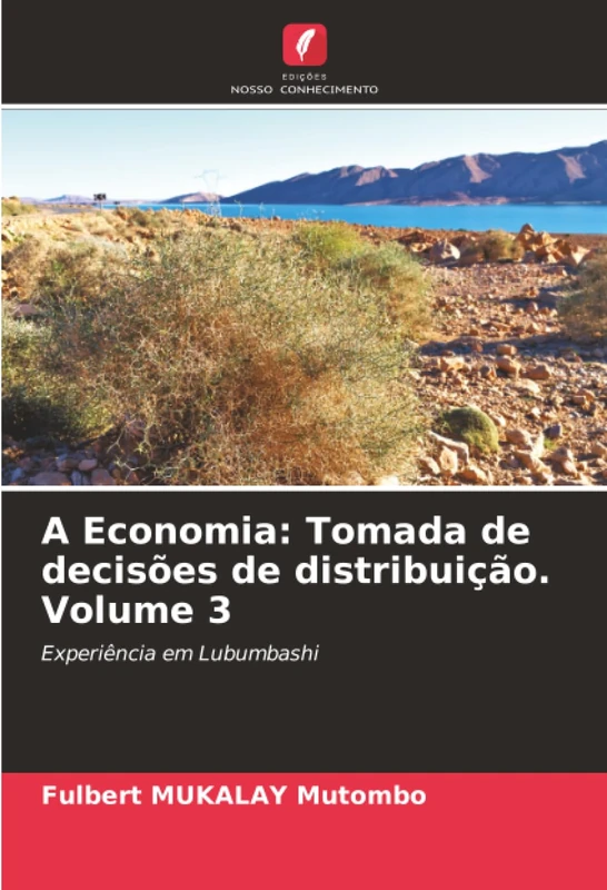 A Economia: Tomada de decisões de distribuição. Volume 3: Experiência em Lubumbashi - Image 1