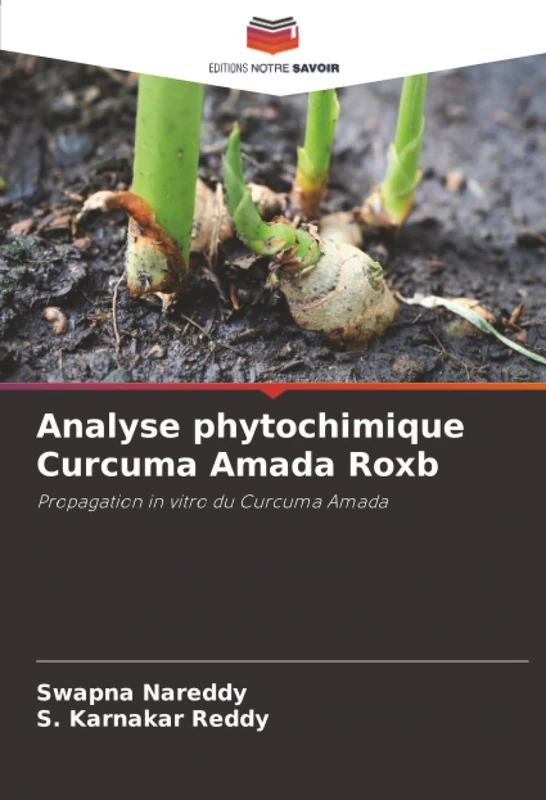 Analyse phytochimique Curcuma Amada Roxb: Propagation in vitro du Curcuma Amada - Image 1