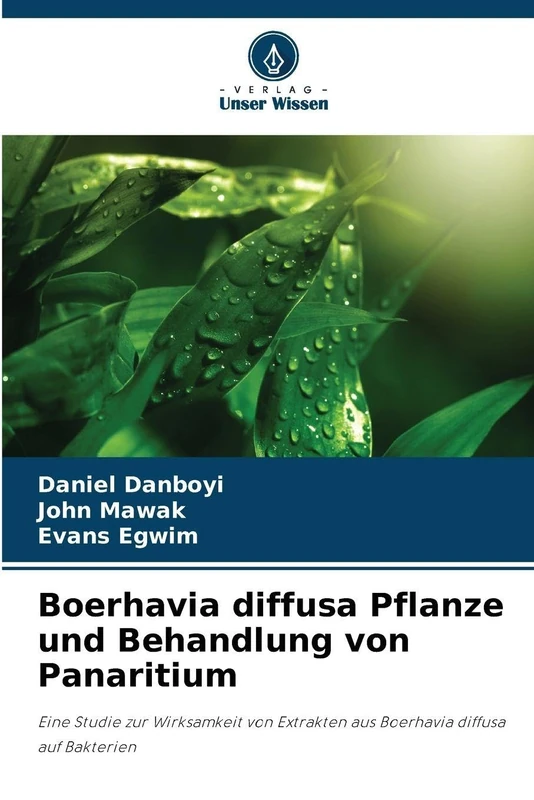 Boerhavia diffusa Pflanze und Behandlung von Panaritium: Eine Studie zur Wirksamkeit von Extrakten aus Boerhavia diffusa auf Bakterien