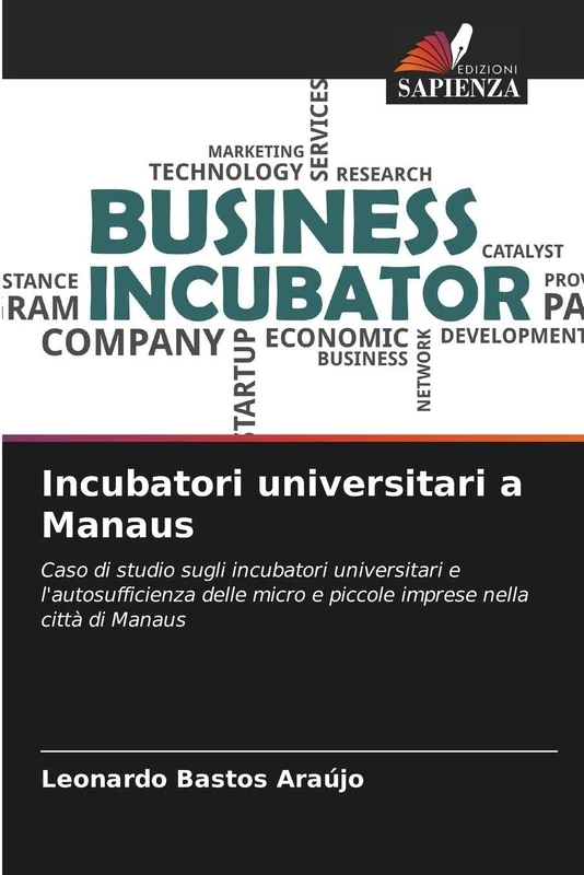 Incubatori universitari a Manaus: Caso di studio sugli incubatori universitari e l'autosufficienza delle micro e piccole imprese nella città di Manaus - Image 1