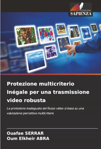 Protezione multicriterio Inégale per una trasmissione video robusta: La protezione inadeguata del flusso video si basa su una valutazione percettiva multicriterio