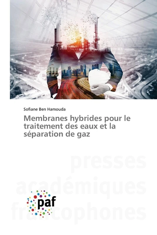Membranes hybrides pour le traitement des eaux et la séparation de gaz - Image 1