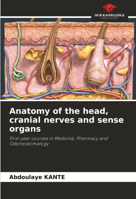 Anatomy of the head, cranial nerves and sense organs: First-year courses in Medicine, Pharmacy and Odontostomalogy - Image 1