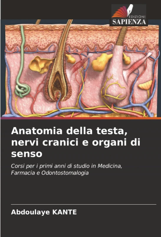 Anatomia della testa, nervi cranici e organi di senso: Corsi per i primi anni di studio in Medicina, Farmacia e Odontostomalogia - Image 1