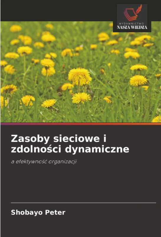 Zasoby sieciowe i zdolności dynamiczne: a efektywność organizacji