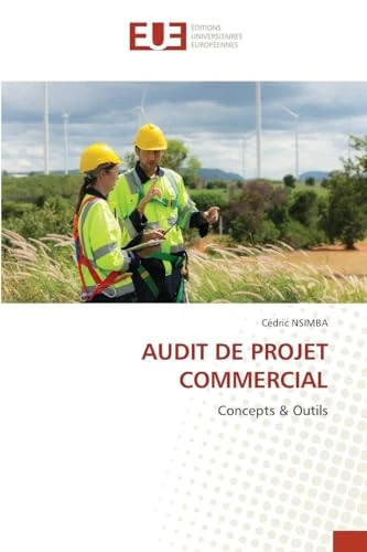 AUDIT DE PROJET COMMERCIAL: Concepts & Outils