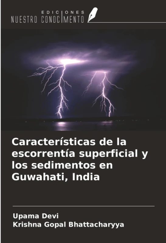 Características de la escorrentía superficial y los sedimentos en Guwahati, India - Image 1