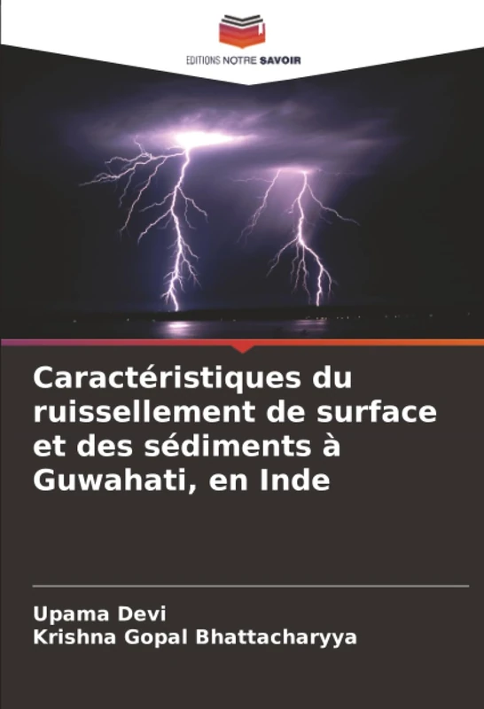 Caractéristiques du ruissellement de surface et des sédiments à Guwahati, en Inde - Image 1