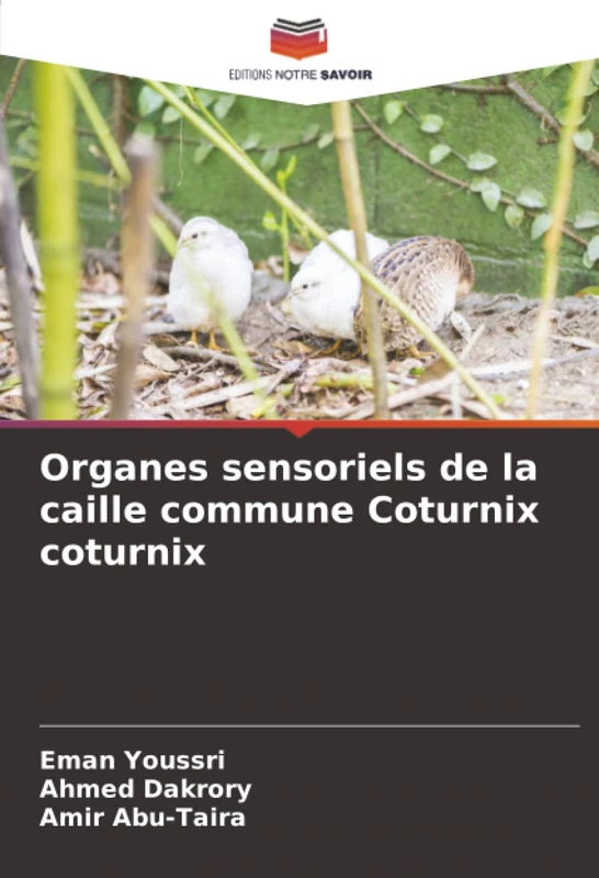 Organes sensoriels de la caille commune Coturnix coturnix
