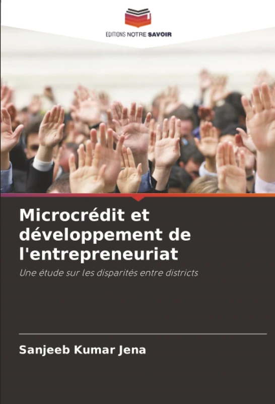 Microcrédit et développement de l'entrepreneuriat: Une étude sur les disparités entre districts