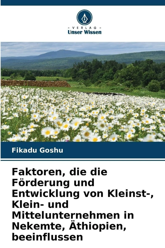 Faktoren, die die Förderung und Entwicklung von Kleinst-, Klein- und Mittelunternehmen in Nekemte, Äthiopien, beeinflussen