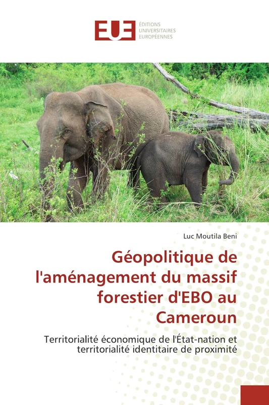 Géopolitique de l'aménagement du massif forestier d'EBO au Cameroun: Territorialité économique de l'État-nation et territorialité identitaire de proximité - Image 1