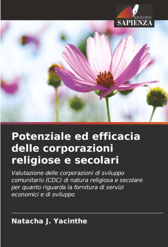 Potenziale ed efficacia delle corporazioni religiose e secolari: Valutazione delle corporazioni di sviluppo comunitario (CDC) di natura religiosa e ... fornitura di servizi economici e di sviluppo