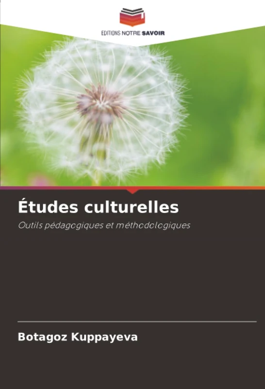 Études culturelles: Outils pédagogiques et méthodologiques