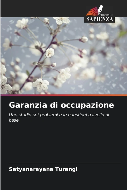 Garanzia di occupazione: Uno studio sui problemi e le questioni a livello di base
