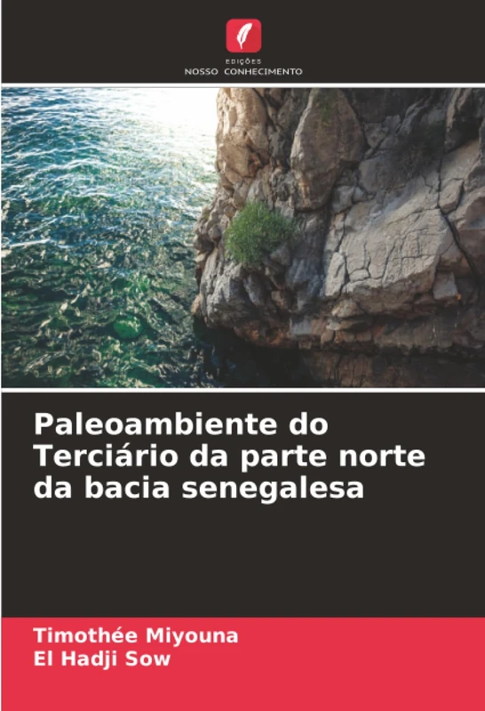 Paleoambiente do Terciário da parte norte da bacia senegalesa