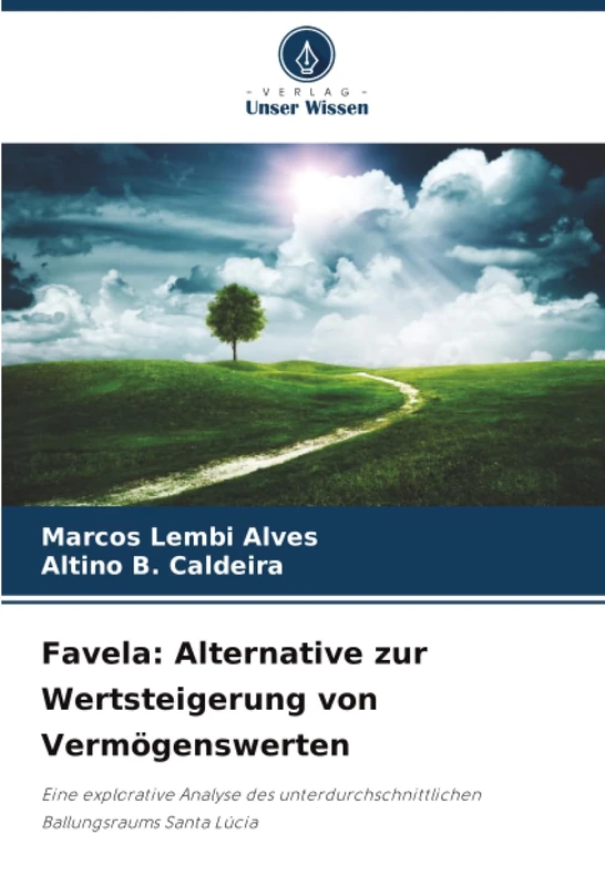 Favela: Alternative zur Wertsteigerung von Vermögenswerten: Eine explorative Analyse des unterdurchschnittlichen Ballungsraums Santa Lúcia