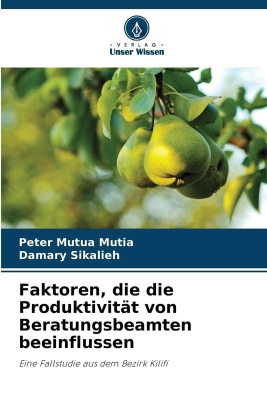 Faktoren, die die Produktivität von Beratungsbeamten beeinflussen: Eine Fallstudie aus dem Bezirk Kilifi