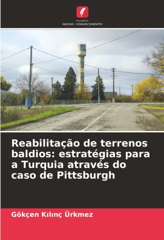 Reabilitação de terrenos baldios: estratégias para a Turquia através do caso de Pittsburgh