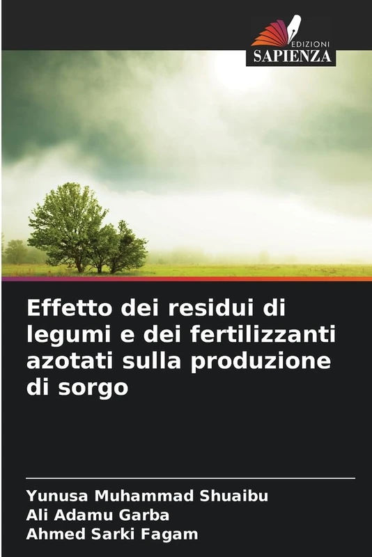 Effetto dei residui di legumi e dei fertilizzanti azotati sulla produzione di sorgo - Image 1