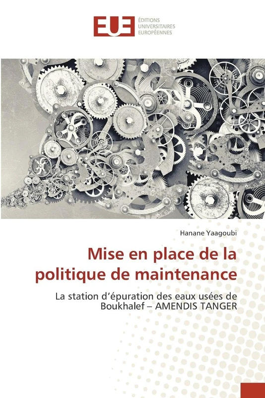 Mise en place de la politique de maintenance: La station d'épuration des eaux usées de Boukhalef - AMENDIS TANGER - Image 1
