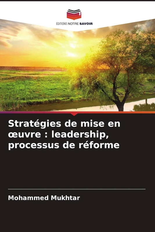 Stratégies de mise en oeuvre: leadership, processus de réforme