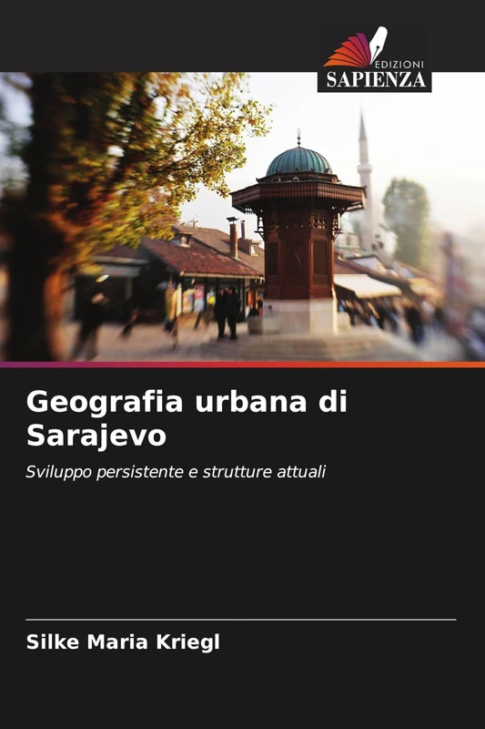 Geografia urbana di Sarajevo: Sviluppo persistente e strutture attuali