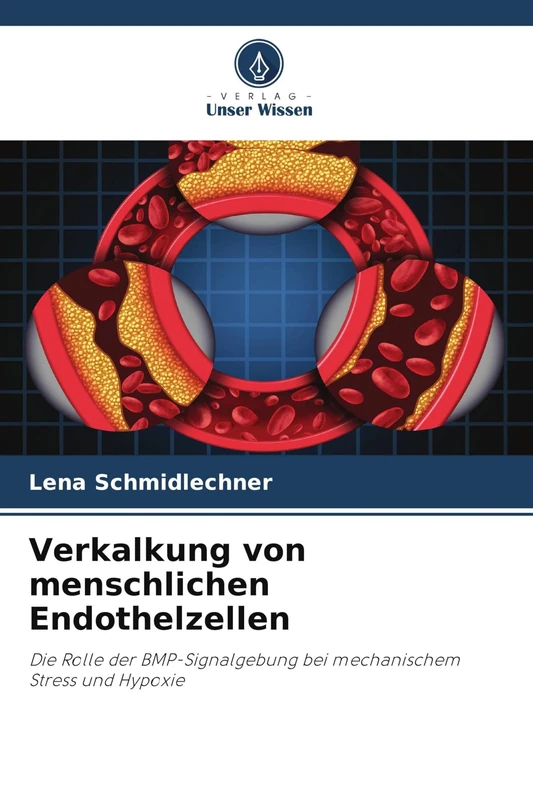 Verkalkung von menschlichen Endothelzellen: Die Rolle der BMP-Signalgebung bei mechanischem Stress und Hypoxie - Image 1