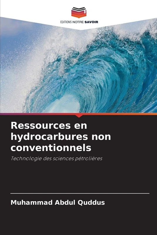 Ressources en hydrocarbures non conventionnels: Technologie des sciences pétrolières - Image 1