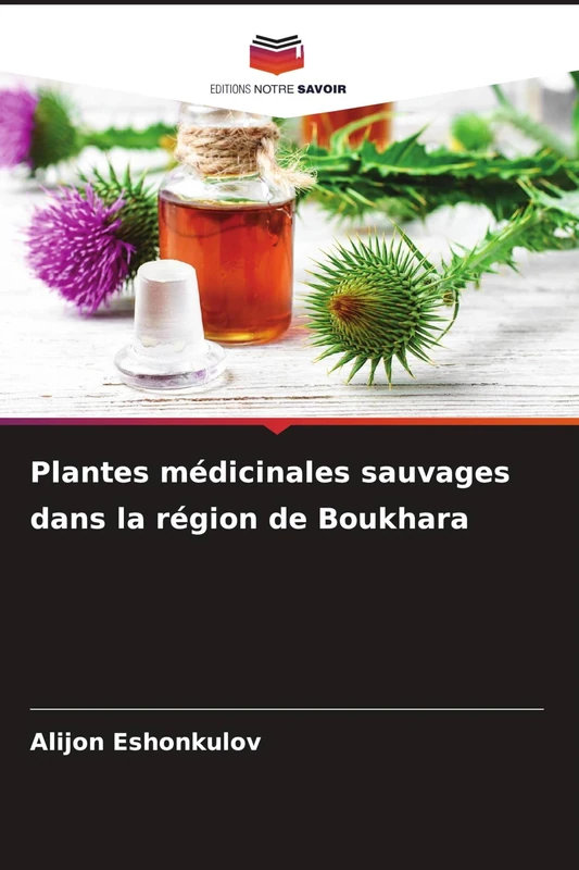 Plantes médicinales sauvages dans la région de Boukhara