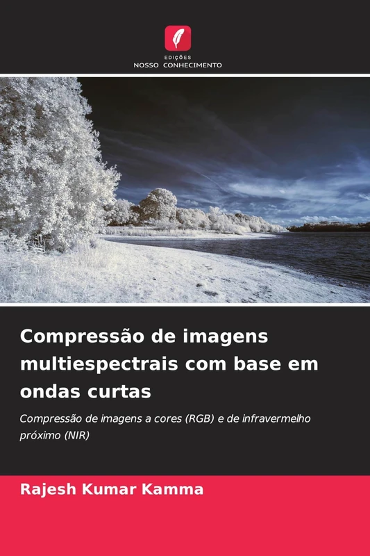 Compressão de imagens multiespectrais com base em ondas curtas: Compressão de imagens a cores (RGB) e de infravermelho próximo (NIR) - Image 1