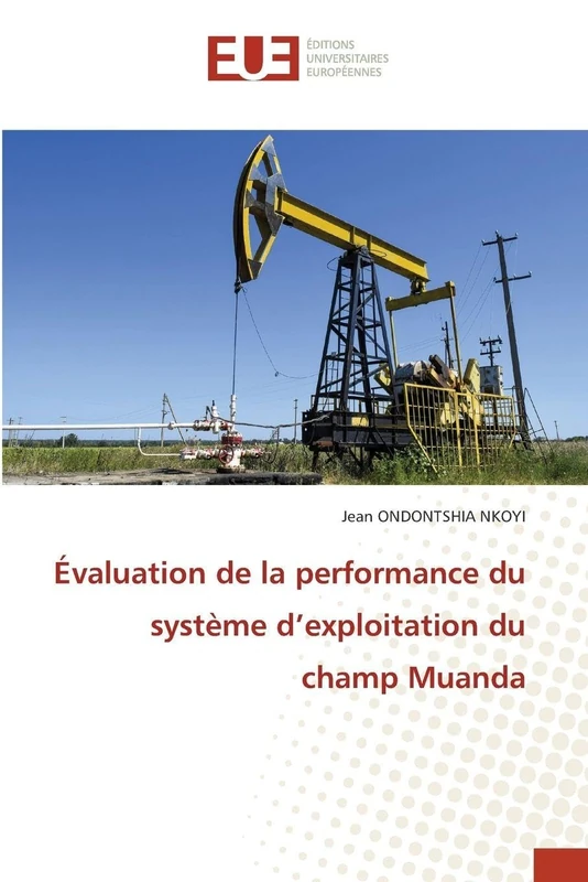 Évaluation de la performance du système d'exploitation du champ Muanda - Image 1