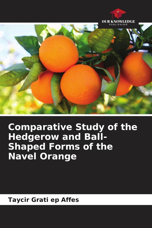 Comparative Study of the Hedgerow and Ball-Shaped Forms of the Navel Orange - Image 1